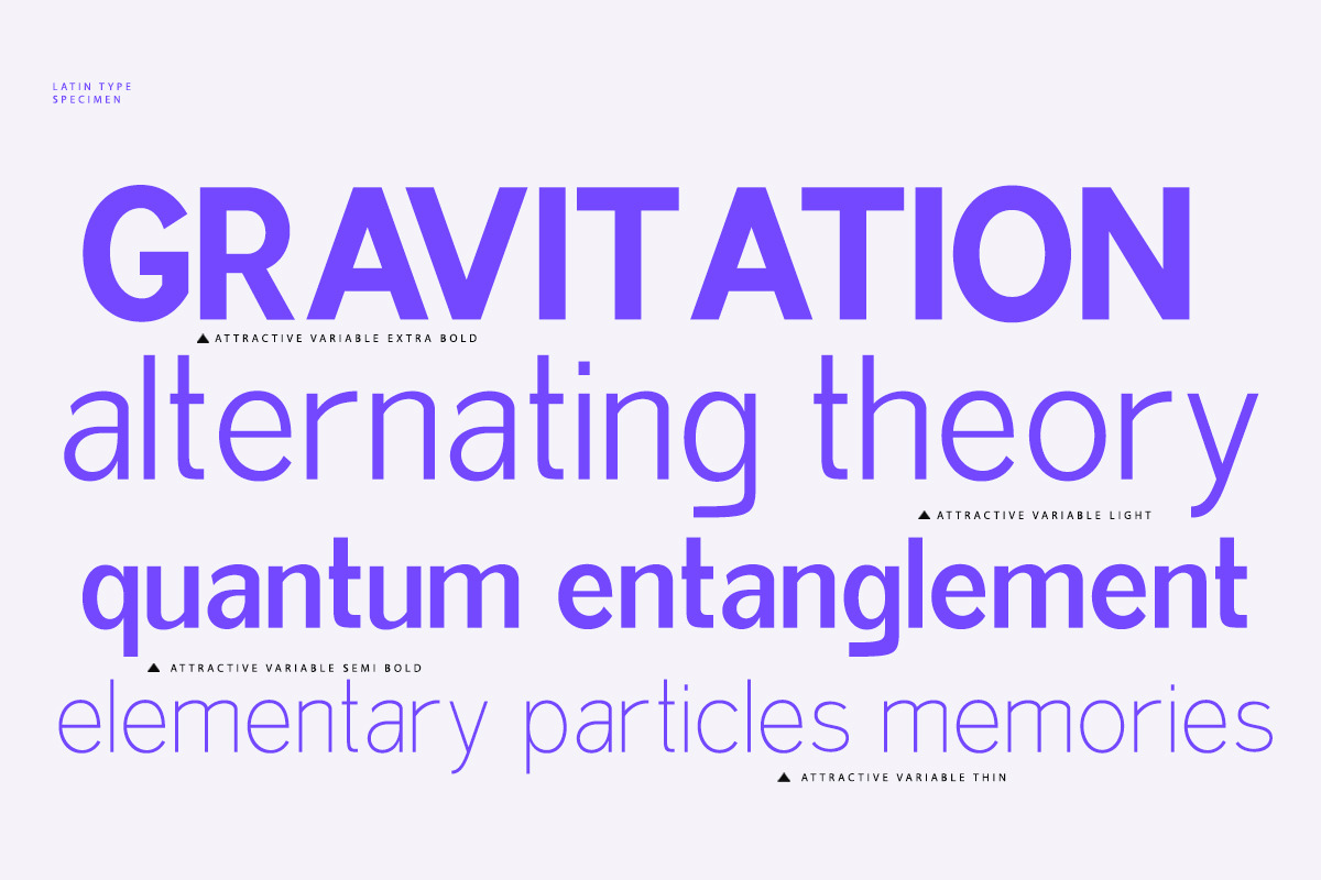 Attractive Variable (18 Fonts), a Serif Font by IM Studio (Photo 2 of 12)