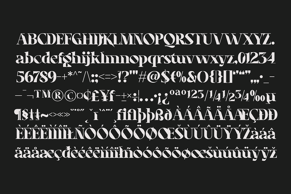 Anshizun, a Serif Font by Wildan Type (Photo 7 of 8)