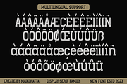 Vandeck - Display Serif Family Font, a Serif Font by MaikoHatta (Thumbnail 3 of 8)