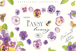 Pansy Watercolor Collection