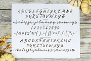Romasha - Casual Signature Brush, a Handwritten Font by tebaltipislab (Thumbnail 7 of 10)