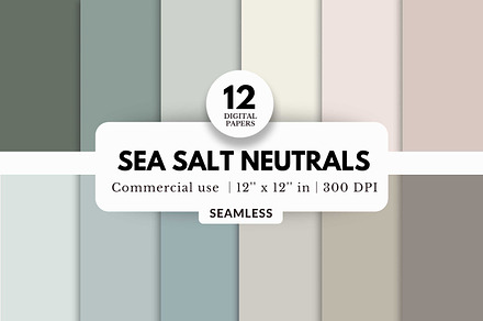 12 Sea Salt Neutrals Digital Papers, a Background Graphic by NorthWindPixels
