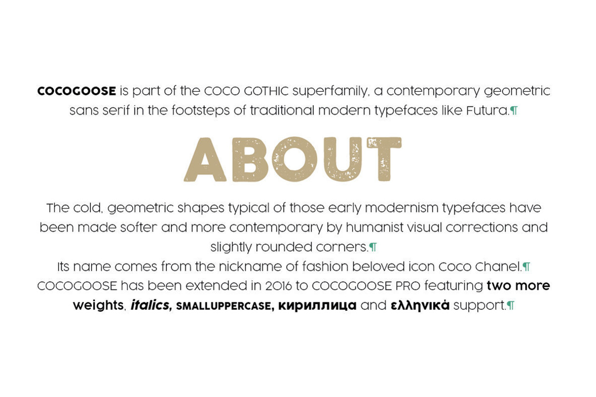 Cocogoose Pro - 17 styles preview 2