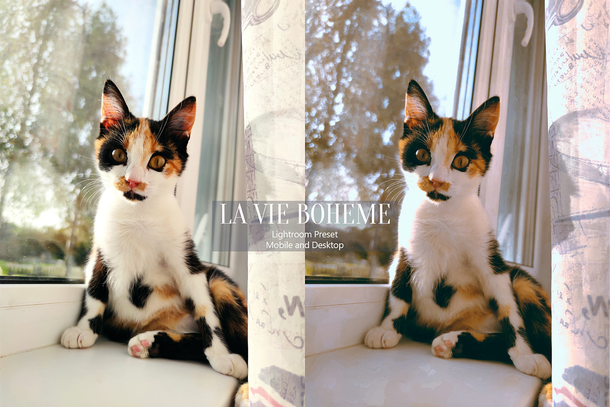 La Vie Boheme | Lightroom Preset, a Preset Add-On by Mirelyn (Photo 9 of 16)