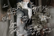 100 hand lettered PNG Wedding Sign, a Handwritten Font by Ivyandpalette (Thumbnail 3 of 6)