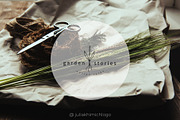 Logo Pack Volume 10. Garden, a Branding & Logo Template by Mint Air Studio (Thumbnail 21 of 21)