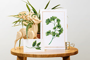 Tropical Leaf Clip Art, an Illustration by Ania Illustration (Thumbnail 5 of 6)