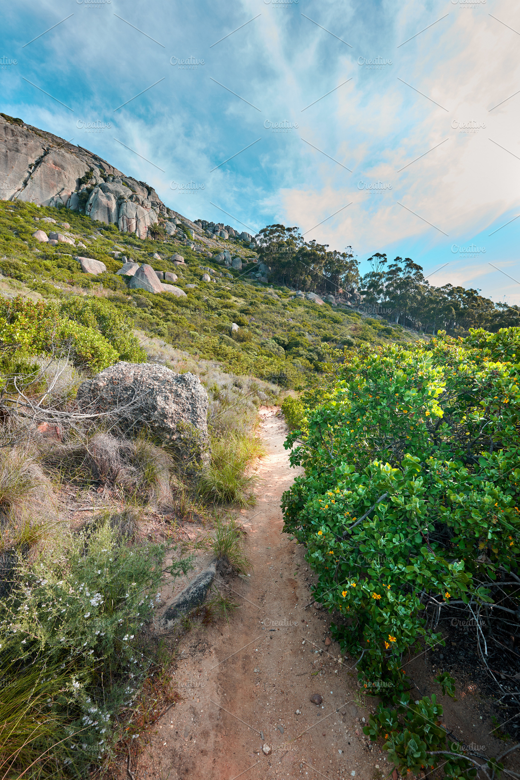Mountain trail - Table Mountain National Park, a Photo by Peopleimages.com