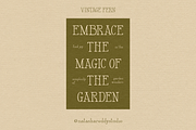 VINTAGE FERN by Natasha Reddy, a Serif Font by Natasha Reddy Studio (Thumbnail 10 of 10)