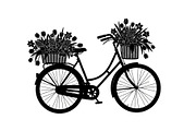 Flower Bicycle Silhouette Bundle, an Illustration by Gaye Art (Thumbnail 3 of 31)