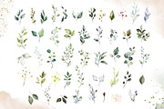 Herbal Watercolor collection, a Work Illustration by Lisima (Thumbnail 3 of 14)