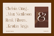Emofera | Modern Serif Font, a Serif Font by The_Type (Thumbnail 7 of 12)
