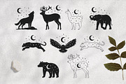 Celestial Animals, an Animal Illustration by PatrushevaYana (Thumbnail 4 of 10)