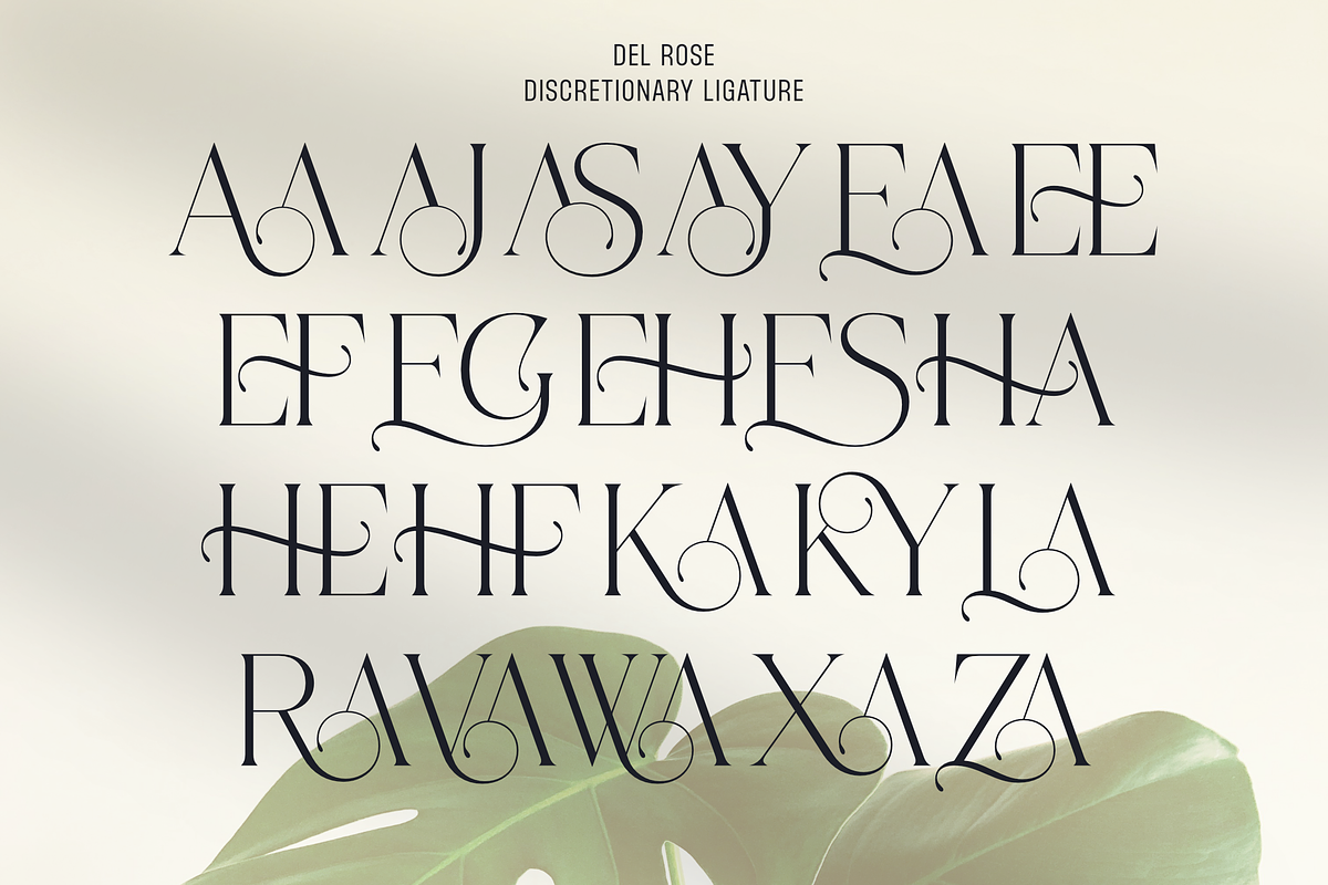 Del Rose, a Serif Font by Sign Studio (Photo 10 of 15)