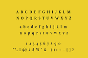 Ferdinand - Modern Serif Font, a Serif Font by blackdahliapress (Thumbnail 4 of 4)