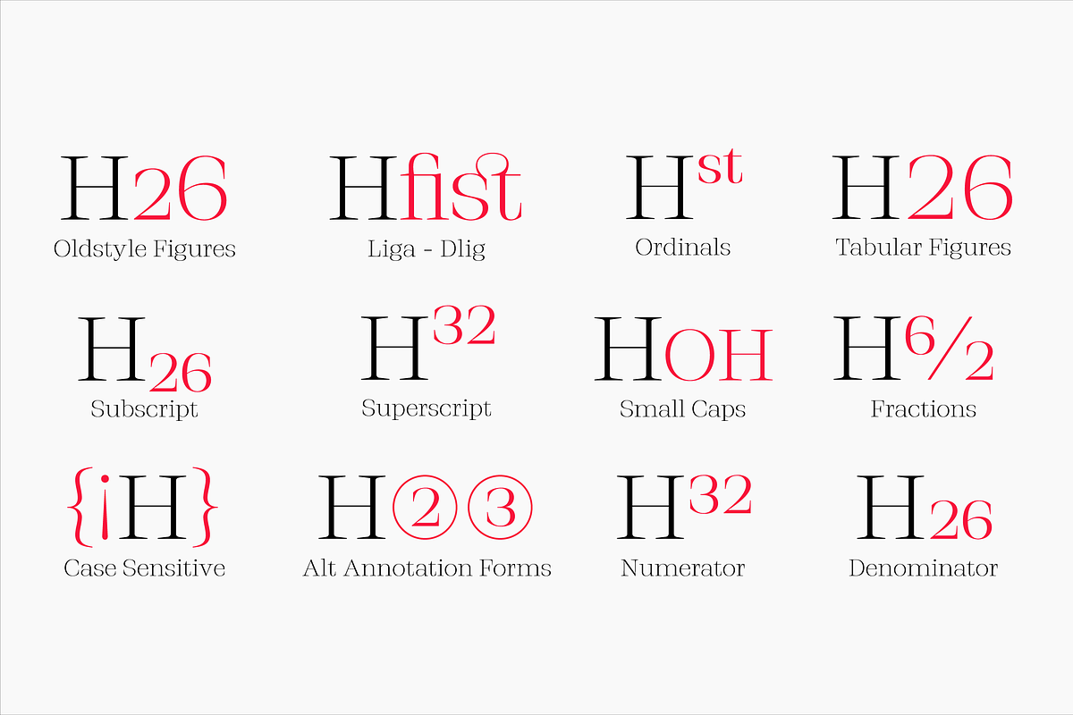 Stigsa Display Font Family preview 7