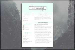 Word CV Template