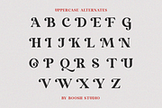 Baithe-Modern Retro Serif, a Serif Font by BOOSH Studio (Thumbnail 12 of 17)