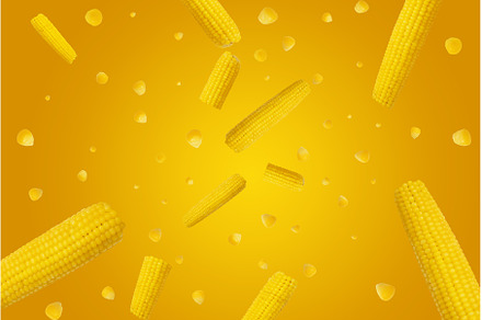 corn and its grains on a yellow, a Food & Drink Photo by Pakosta