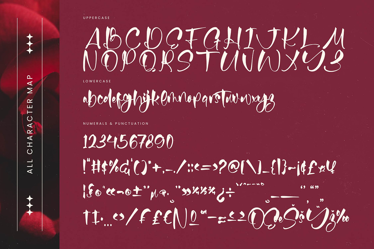 Fainter Bold Brush Font, a Script Font by stylishtype.co (Photo 18 of 20)