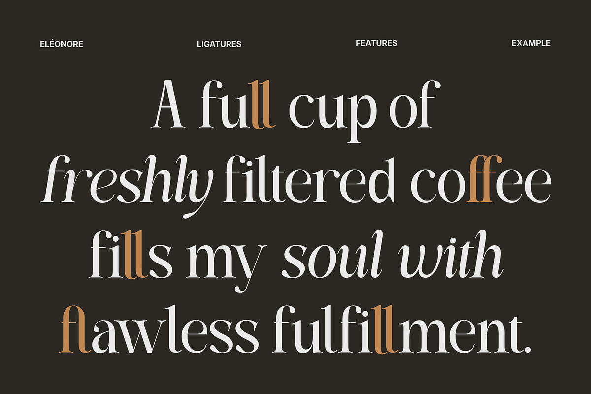 Eléonore – Serif Font for Branding, a Serif Font by Inviline.co (Photo 7 of 15)