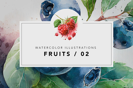 Fruit watercolor illustrations / 02