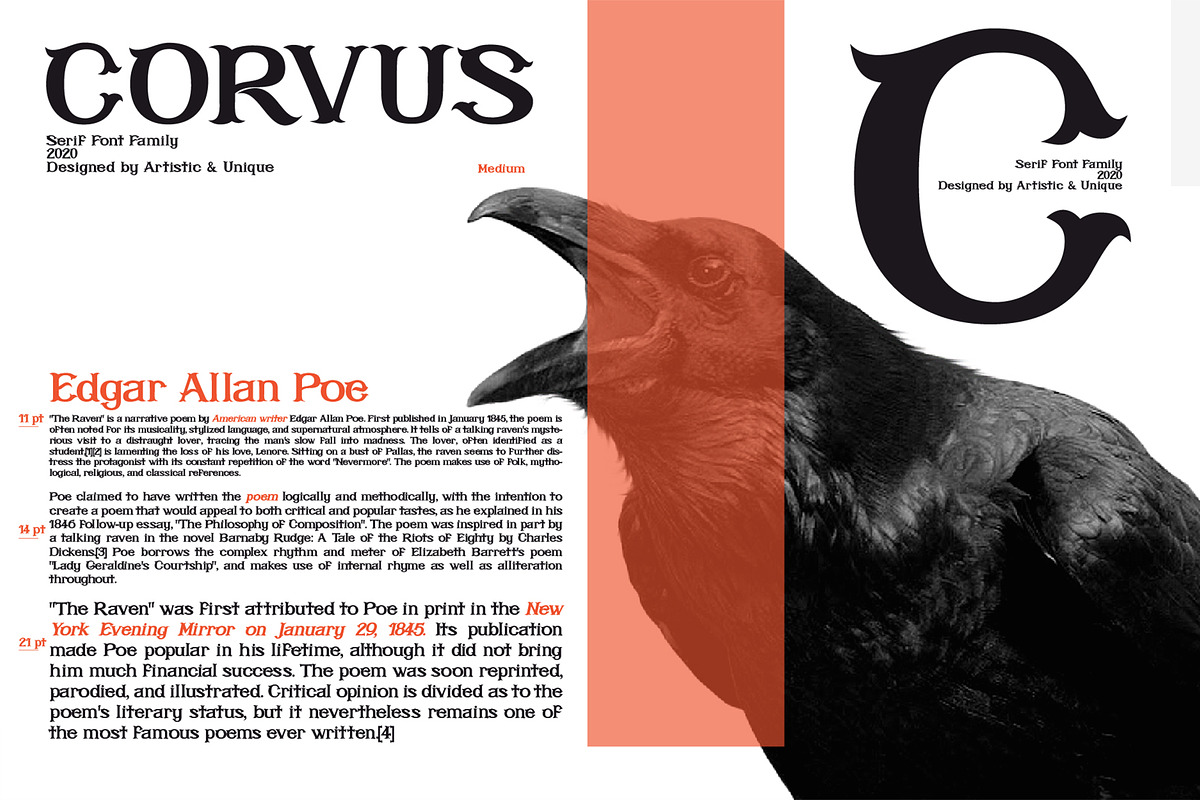 CORVUS Serif font, a Serif Font by Artistic & Unique (Photo 10 of 15)