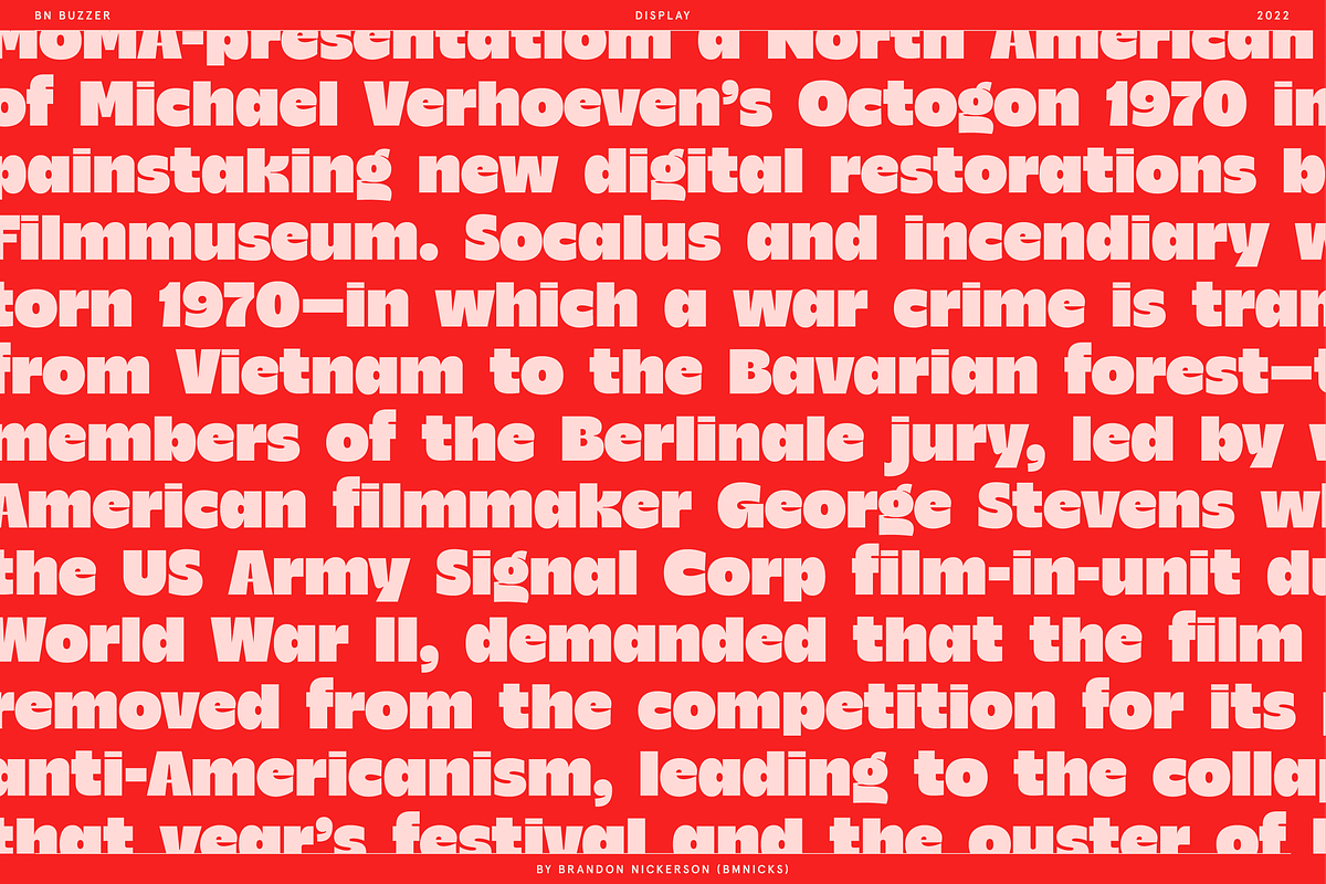 BN Buzzer Sans Serif Display Font, a Sans Serif Font by Bnick (Photo 17 of 18)