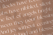 Nightfall - Modern Luxury Sans-Serif, a Sans Serif Font by Studio Aurora (Thumbnail 6 of 17)