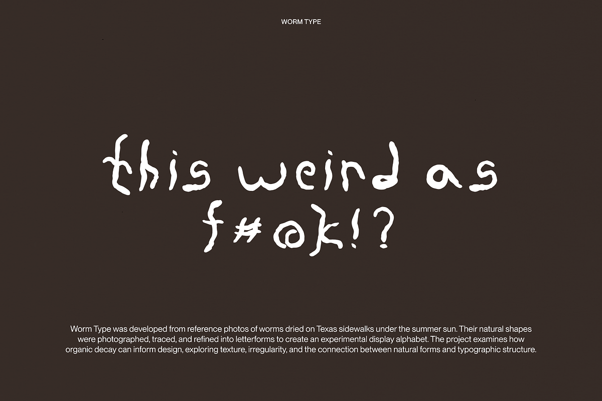 Worm Type, a Handwritten Font by Weird Friends (Photo 6 of 7)