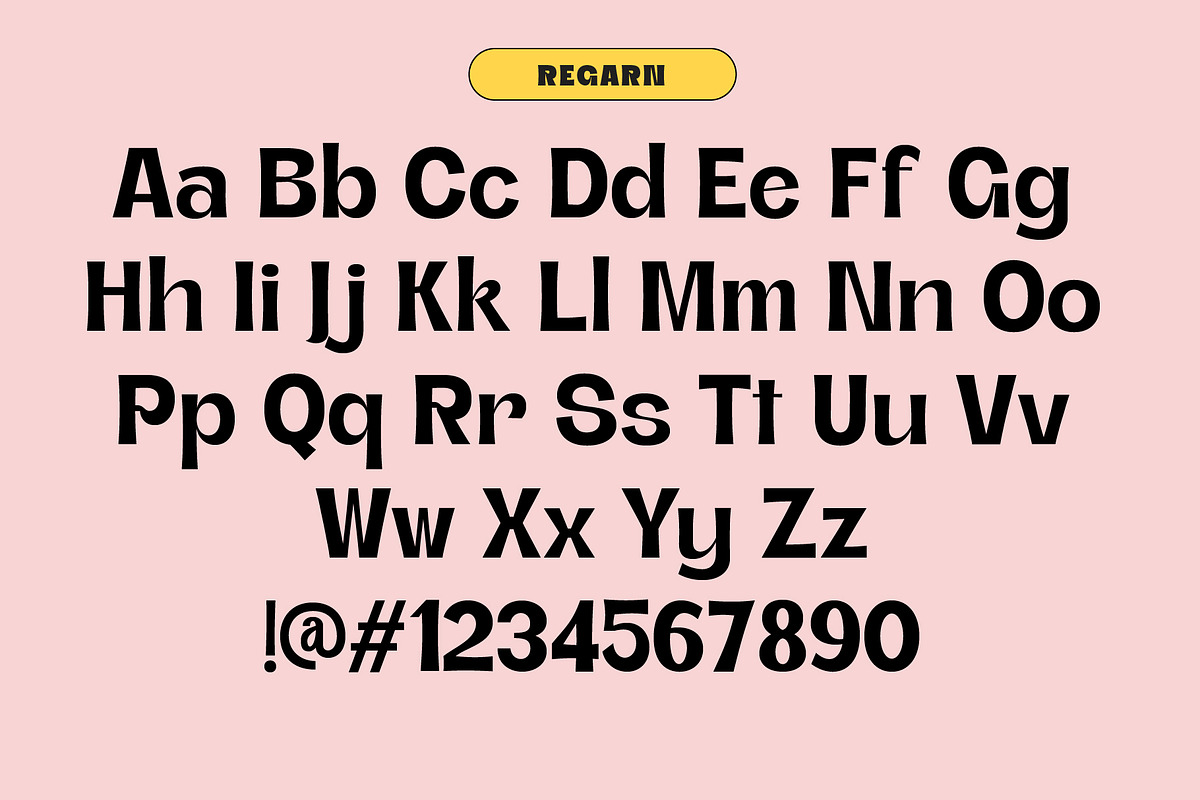 Regarn Font Family + Variable, a Sans Serif Font by Craft Supply Co. (Photo 12 of 12)