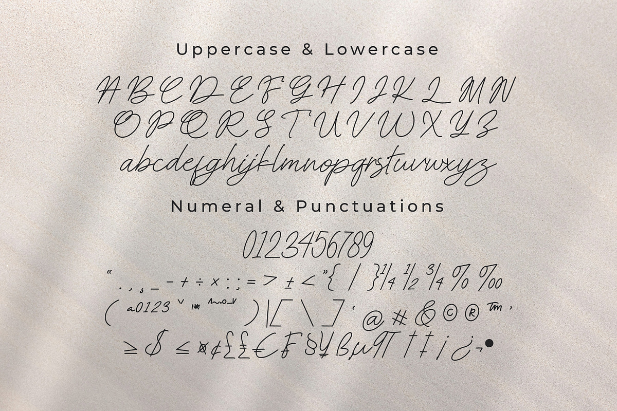Steelbany, a Script Font by Goresan Studio (Photo 10 of 15)