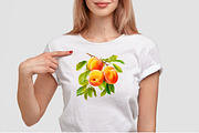 Apricots Watercolor Clipart, a Food Illustration by LekoArt (Thumbnail 10 of 10)