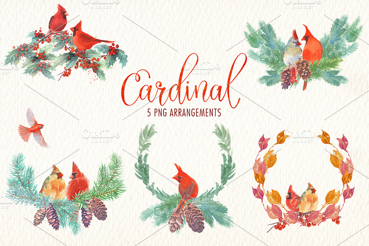 Cardinal bird watercolor clipart set, an Illustration by Art & Things (Photo 5 of 6)