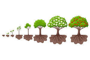 Tree growth cycle. Agriculture, a Background Graphic by LadadikArt