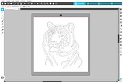 Tiger svg eps png pdf clipart, an Animal Illustration by Bila Vorona (Thumbnail 3 of 7)