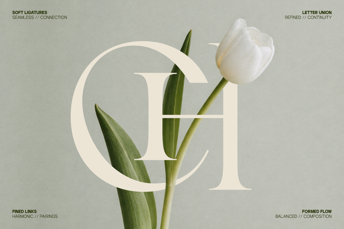 GC Begia - Modern Luxury Typeface, a Serif Font by Glyphonic (Photo 6 of 15)