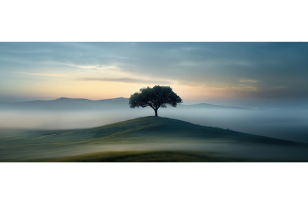 Lone Tree Rises at Misty Dawn, a Nature Photo by BazziBa♥