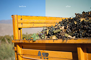 LR Presets Warm, a Preset Add-On by Emi Martinez Diana (Thumbnail 3 of 5)