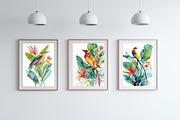 Exotic Botanical Bird Illustration, a Decorative Illustration by Housui Patterns (Thumbnail 5 of 12)