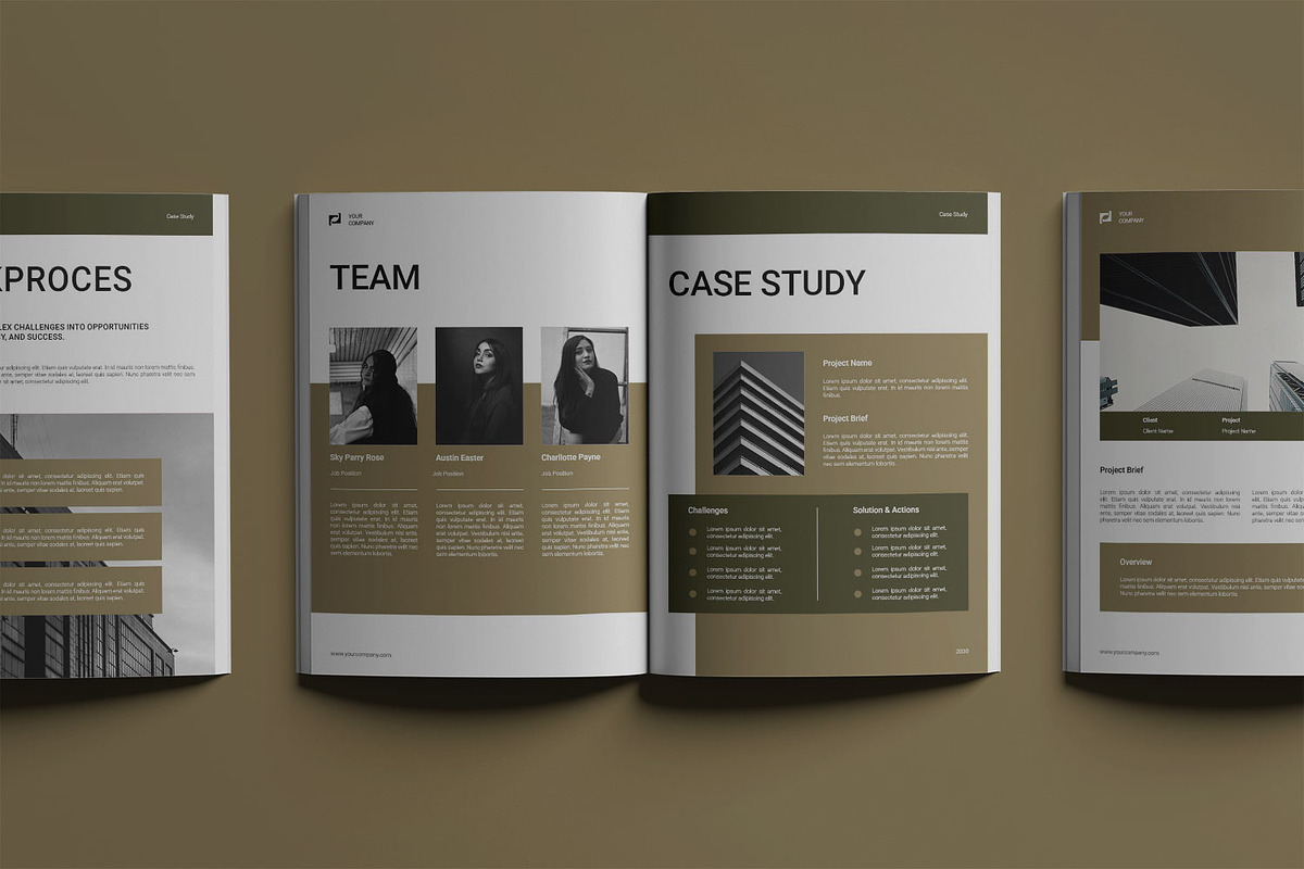 Case Study Template, a Magazine Template by Haps Space (Photo 4 of 8)