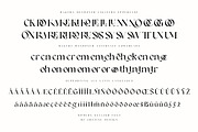 Trendy & Modern Fonts 2 - 10 Sets, a Font by Cruzine (Thumbnail 14 of 42)