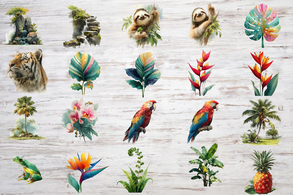 TROPICAL JUNGLE clipart, an Illustration by Designworld (Photo 5 of 5)