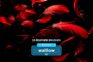 Feathers Photoshop Brushes