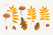 Autumn Woodland Watercolor, a Seasonal Illustration by YarovaArt (Thumbnail 2 of 15)