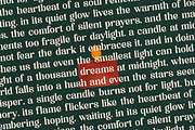 Candle Midnight Groovy Serif, a Serif Font by timelesstype.co (Thumbnail 17 of 20)