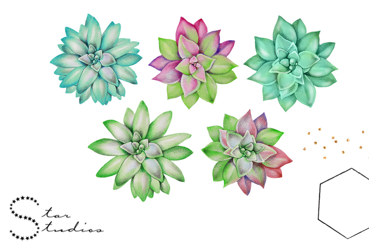 Rock Roses, an Illustration by Dana Designs (Photo 2 of 3)