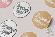 Written by Himself - Brush Display, a Font by Gassstype (Thumbnail 4 of 8)