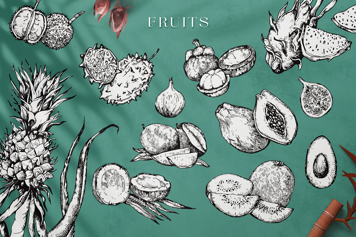 Tropica Collection, a Seasonal Illustration by Michael Rayback Design (Photo 7 of 15)