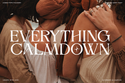 Alverich - Modern Serif Font, a Serif Font by Comactype Foundry (Thumbnail 8 of 22)